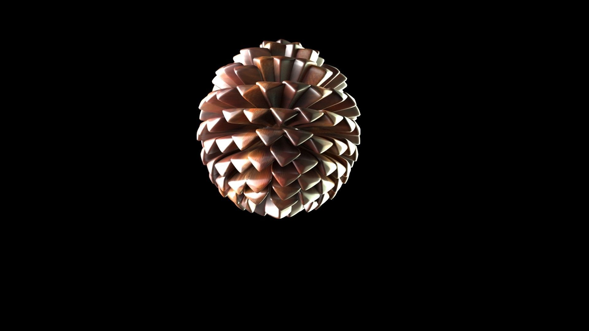 Fir Cone 3D model_8
