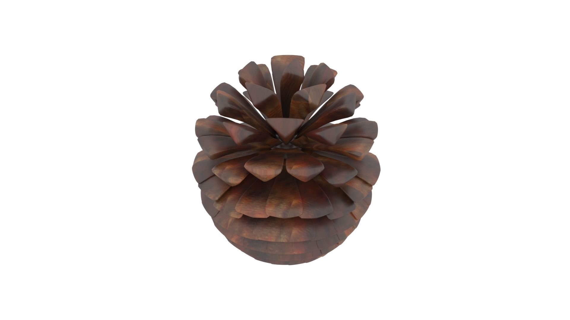 Fir Cone 3D model_21