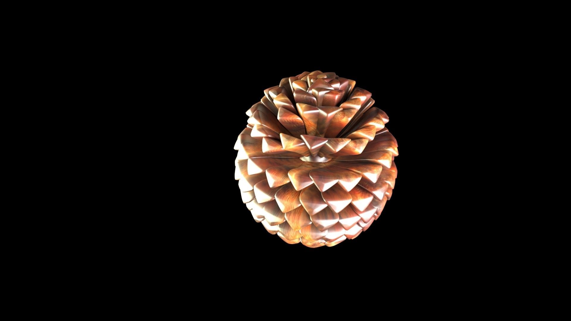 Fir Cone 3D model_1