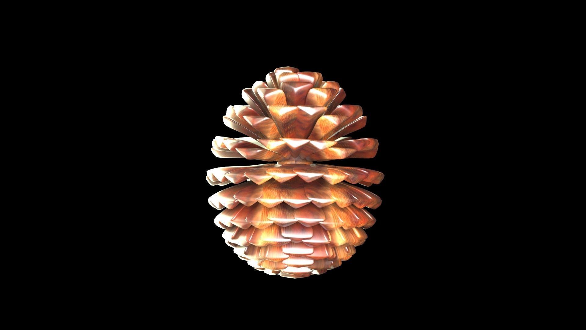 Fir Cone 3D model_11