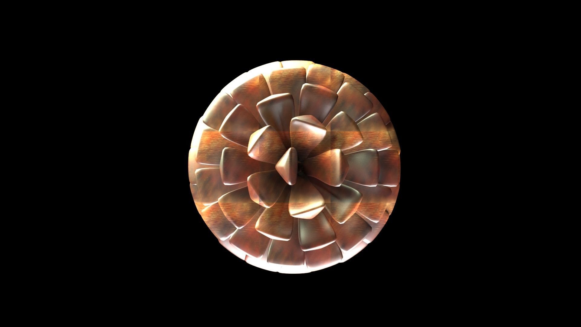 Fir Cone 3D model_13