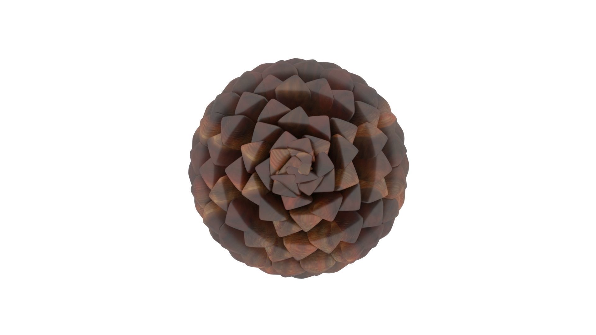 Fir Cone 3D model_31