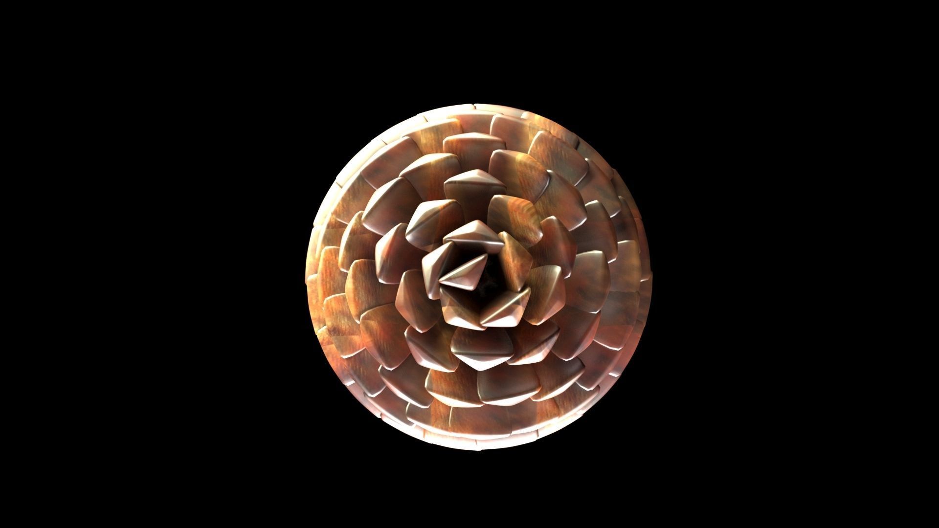 Fir Cone 3D model_12