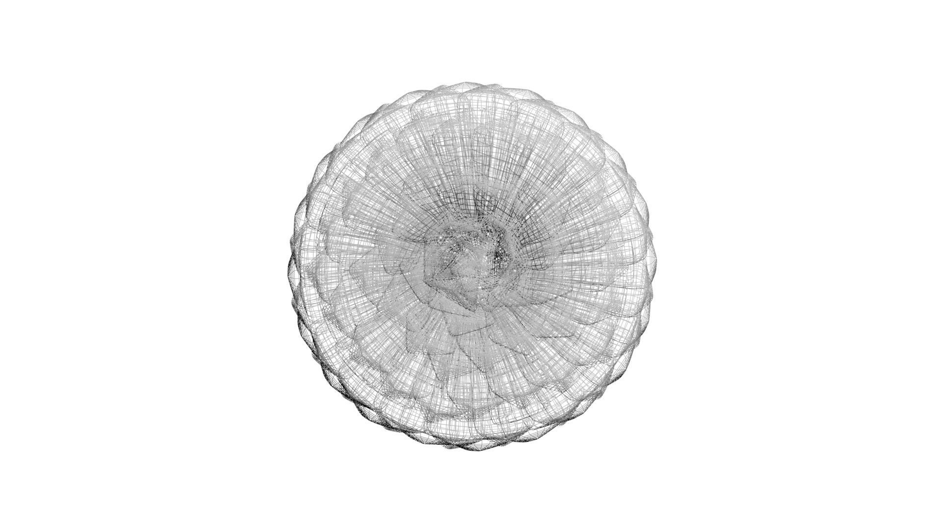 Fir Cone 3D model_47