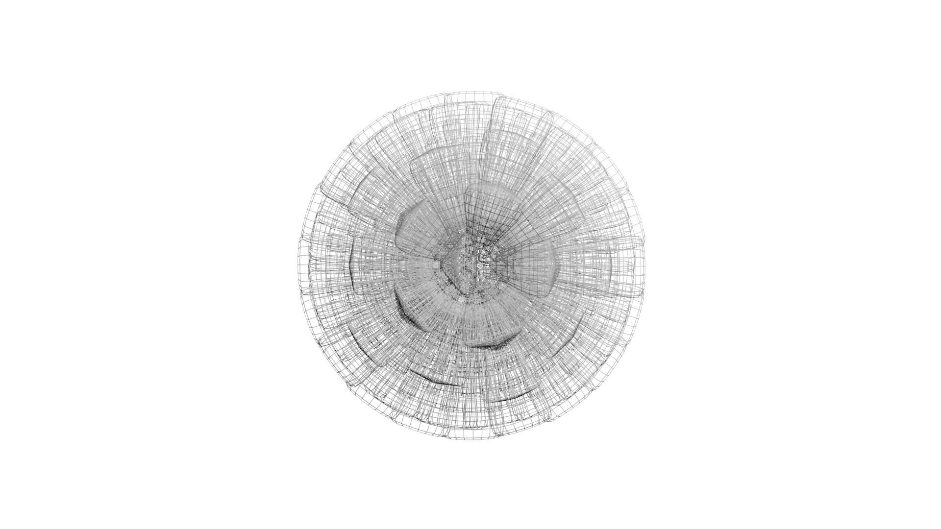 Fir Cone 3D model_45