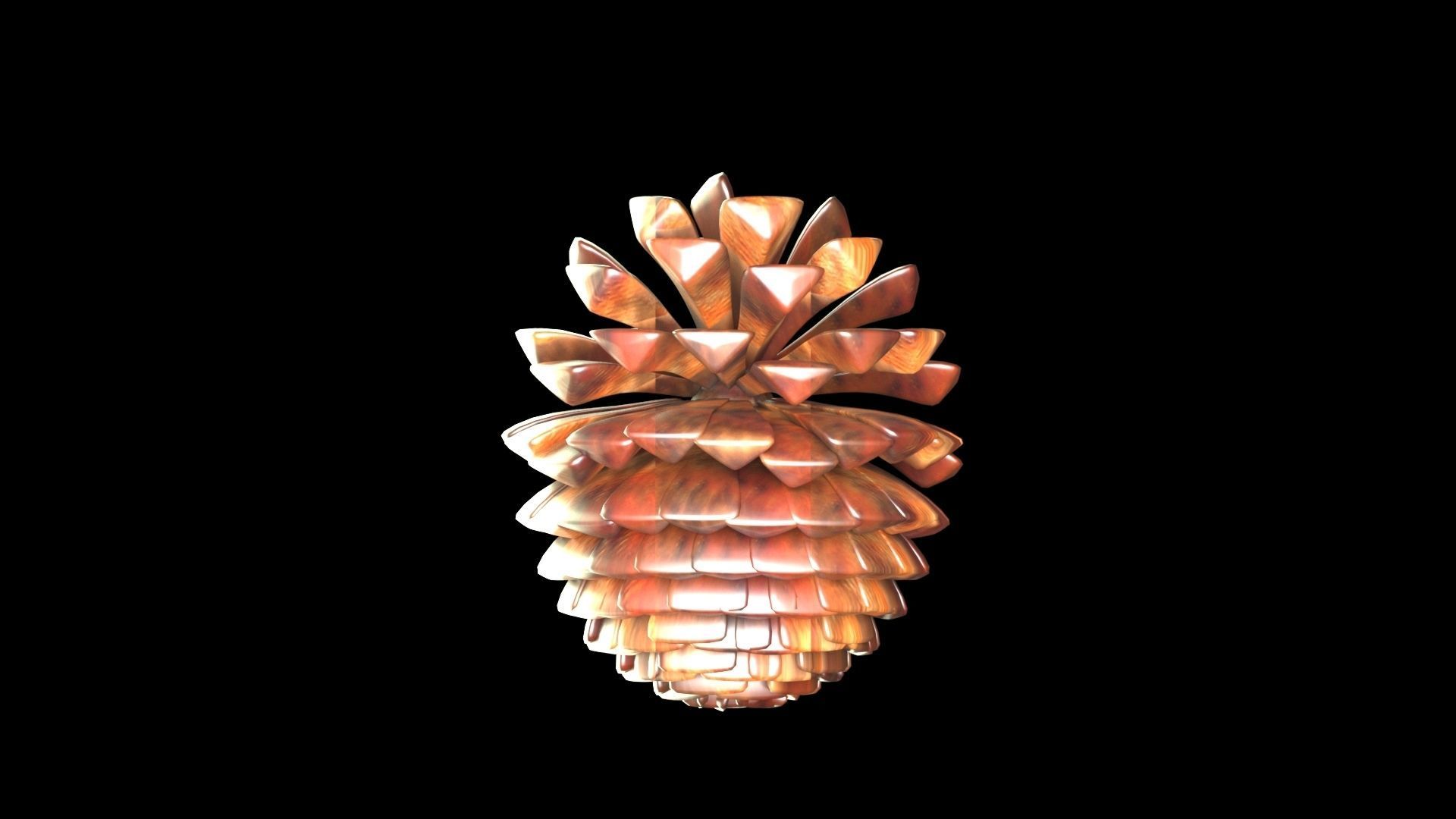 Fir Cone 3D model_10