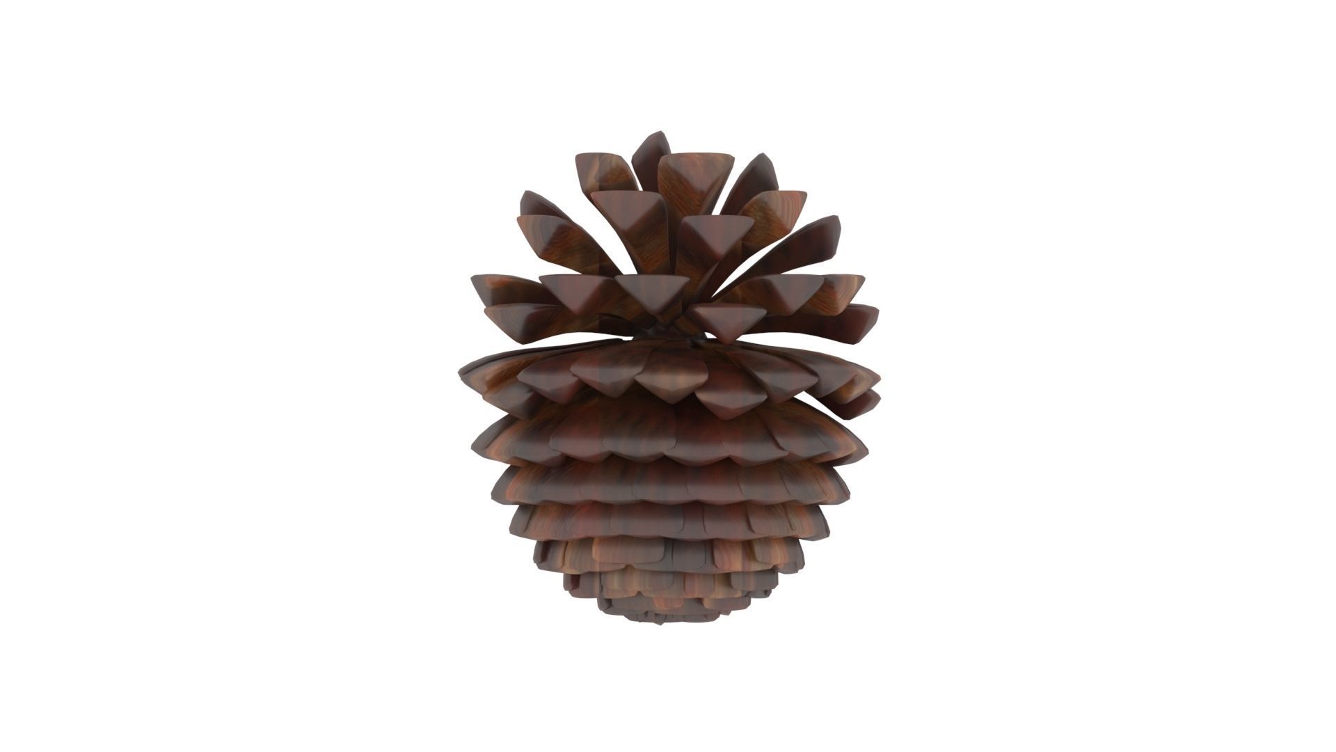 Fir Cone 3D model_26