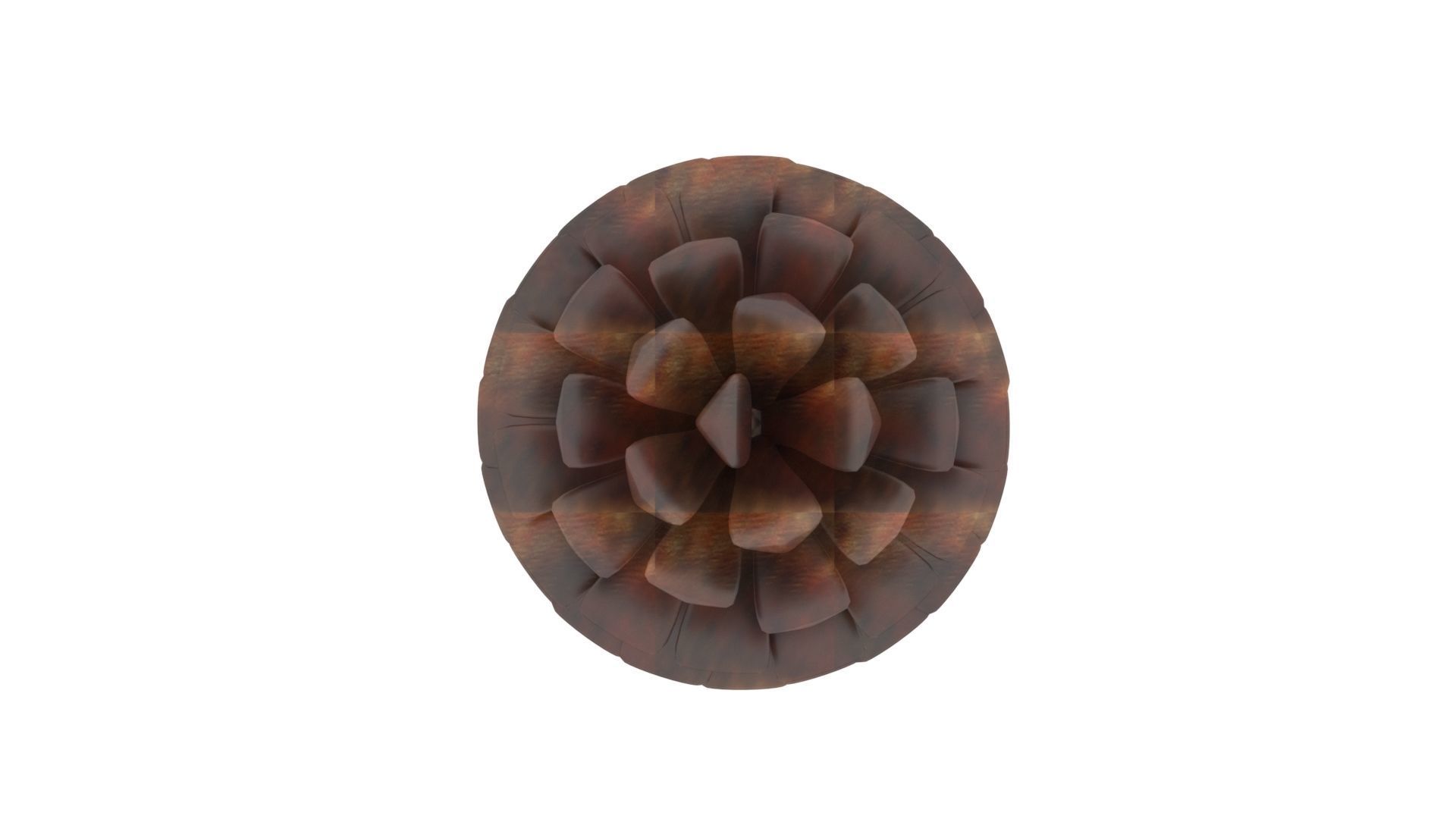 Fir Cone 3D model_29