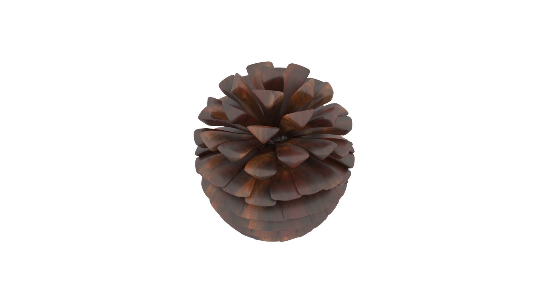 Fir Cone 3D model_18