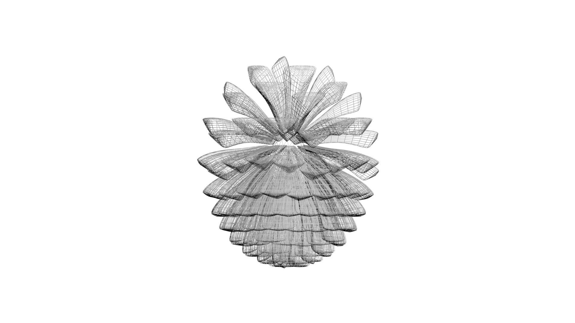 Fir Cone 3D model_42