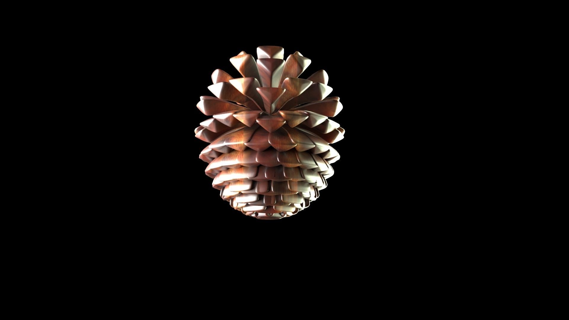Fir Cone 3D model_7