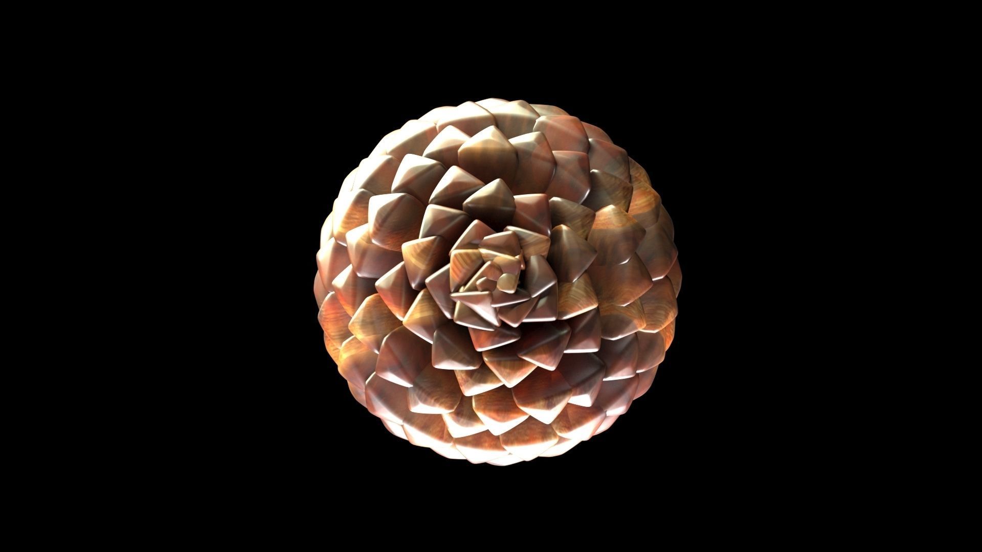 Fir Cone 3D model_14