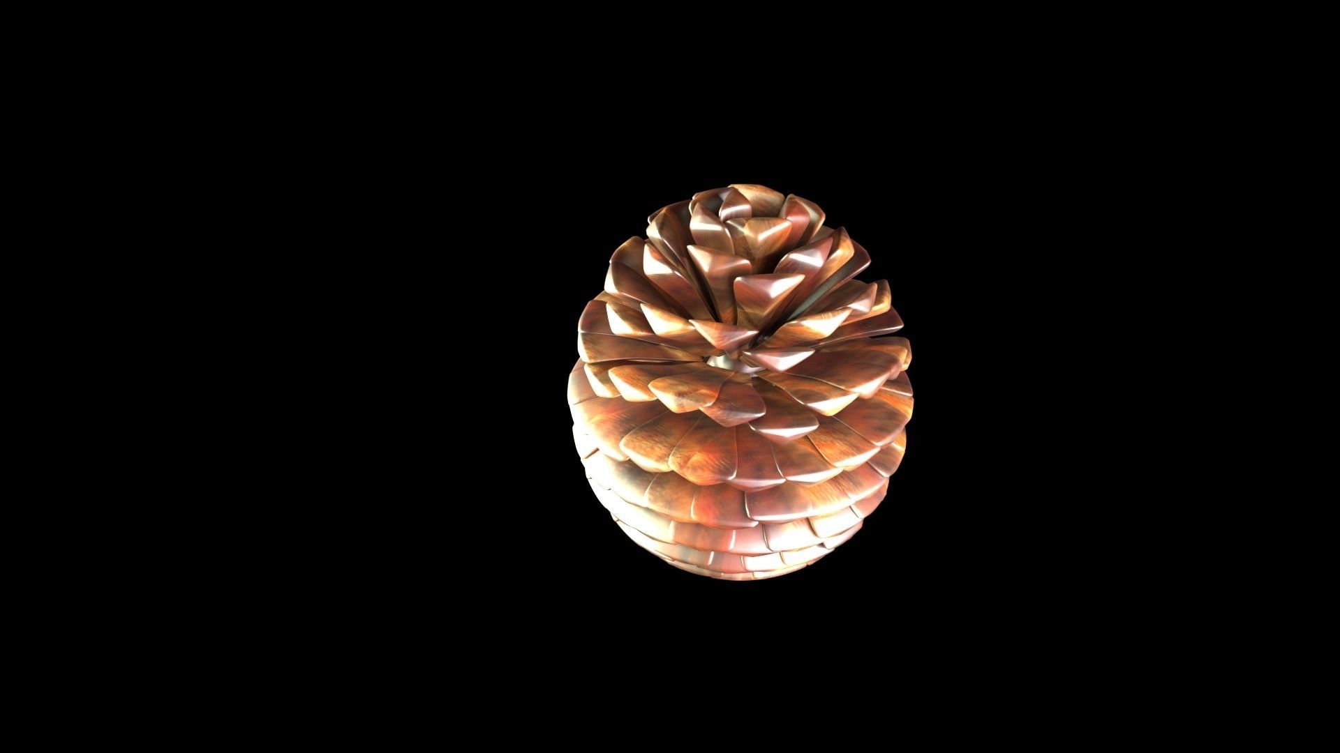 Fir Cone 3D model_2