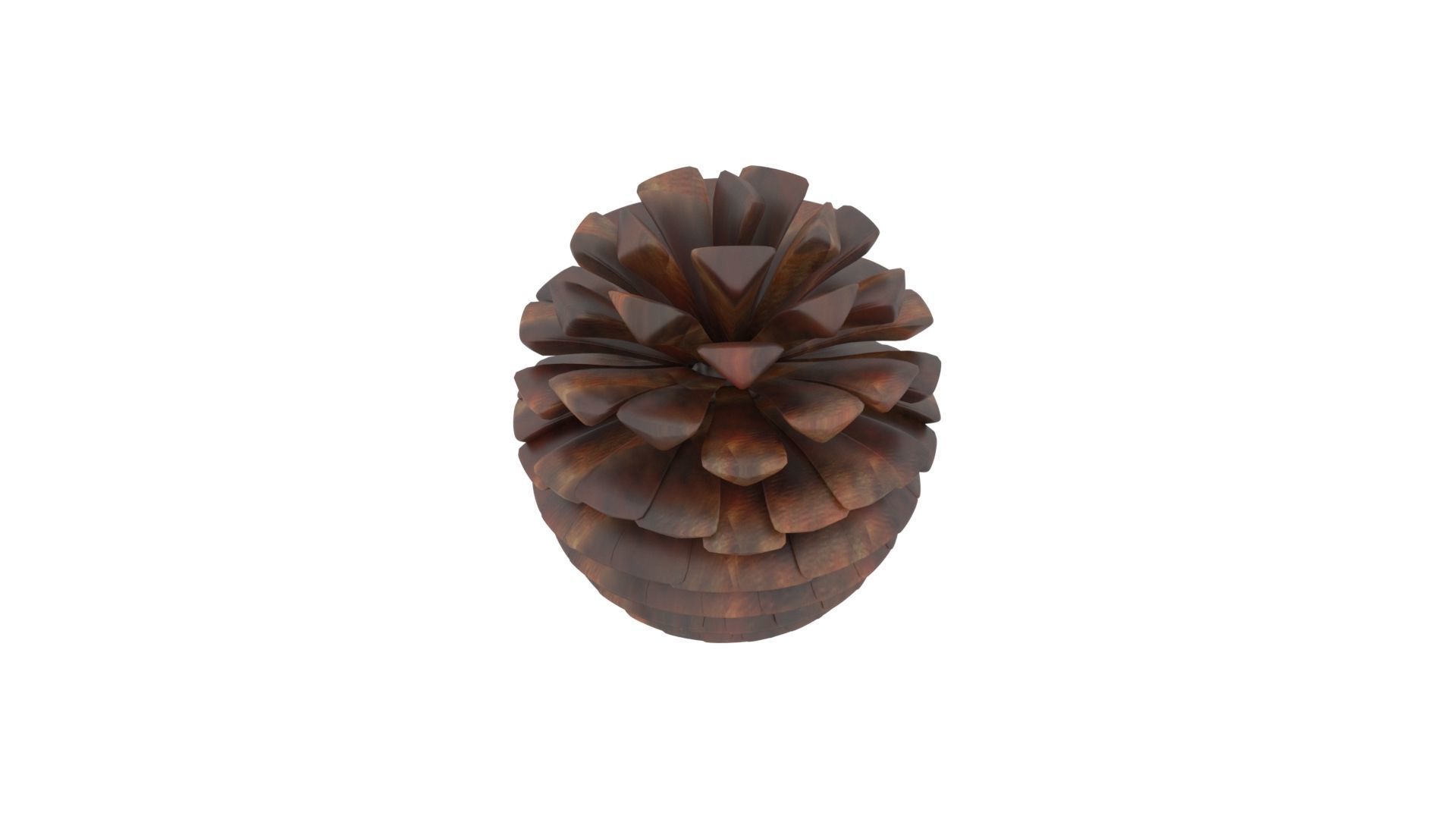 Fir Cone 3D model_25