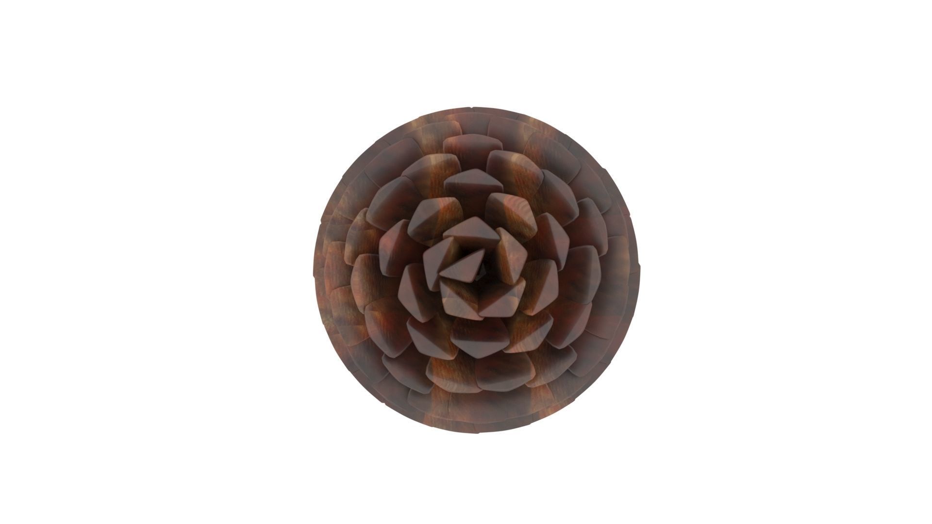 Fir Cone 3D model_30