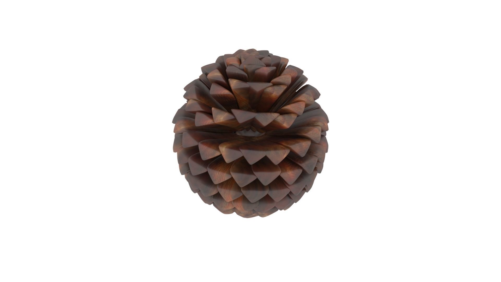 Fir Cone 3D model_19