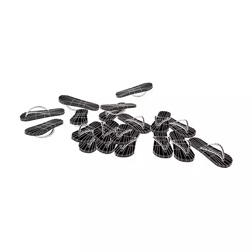Flip Flops Pile v1 005
