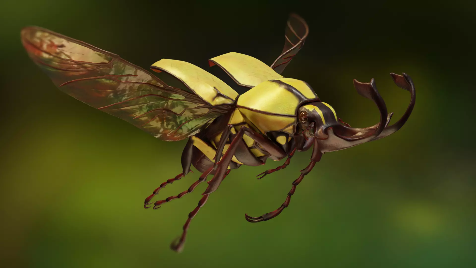 Flower beetle 3D print model