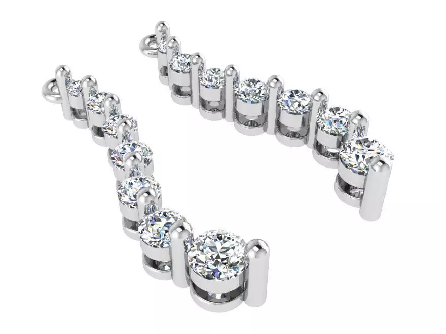 Splendid earrings 2646 3D print model  3D print model_0