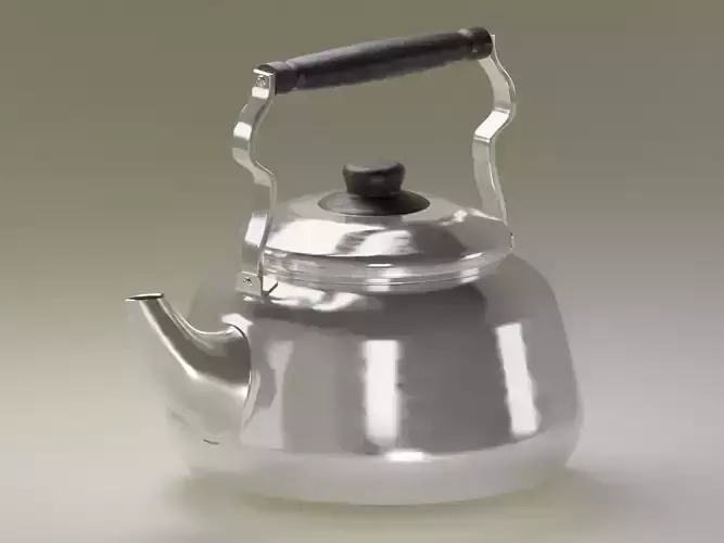 Stainless Steel Kettle