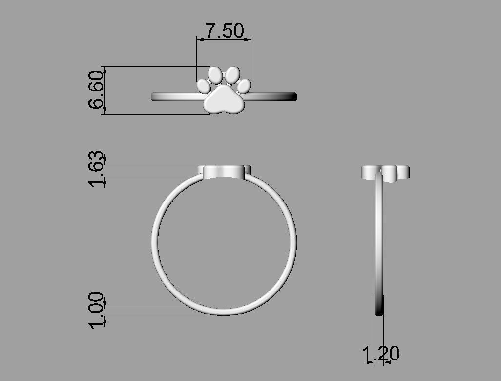 Paw Ring  Earrings Pendant  3D Model Collection_8