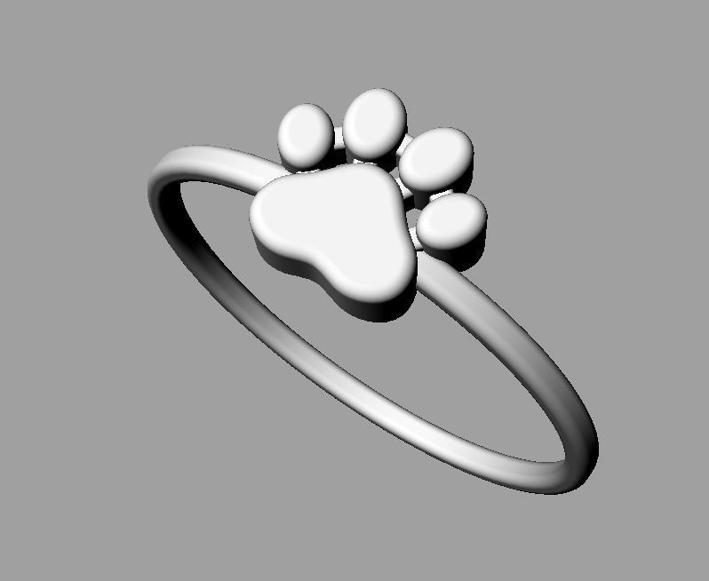 Paw Ring  Earrings Pendant  3D Model Collection_18