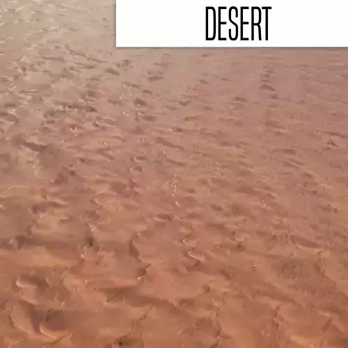 Sandy Desert Terrain 3D model