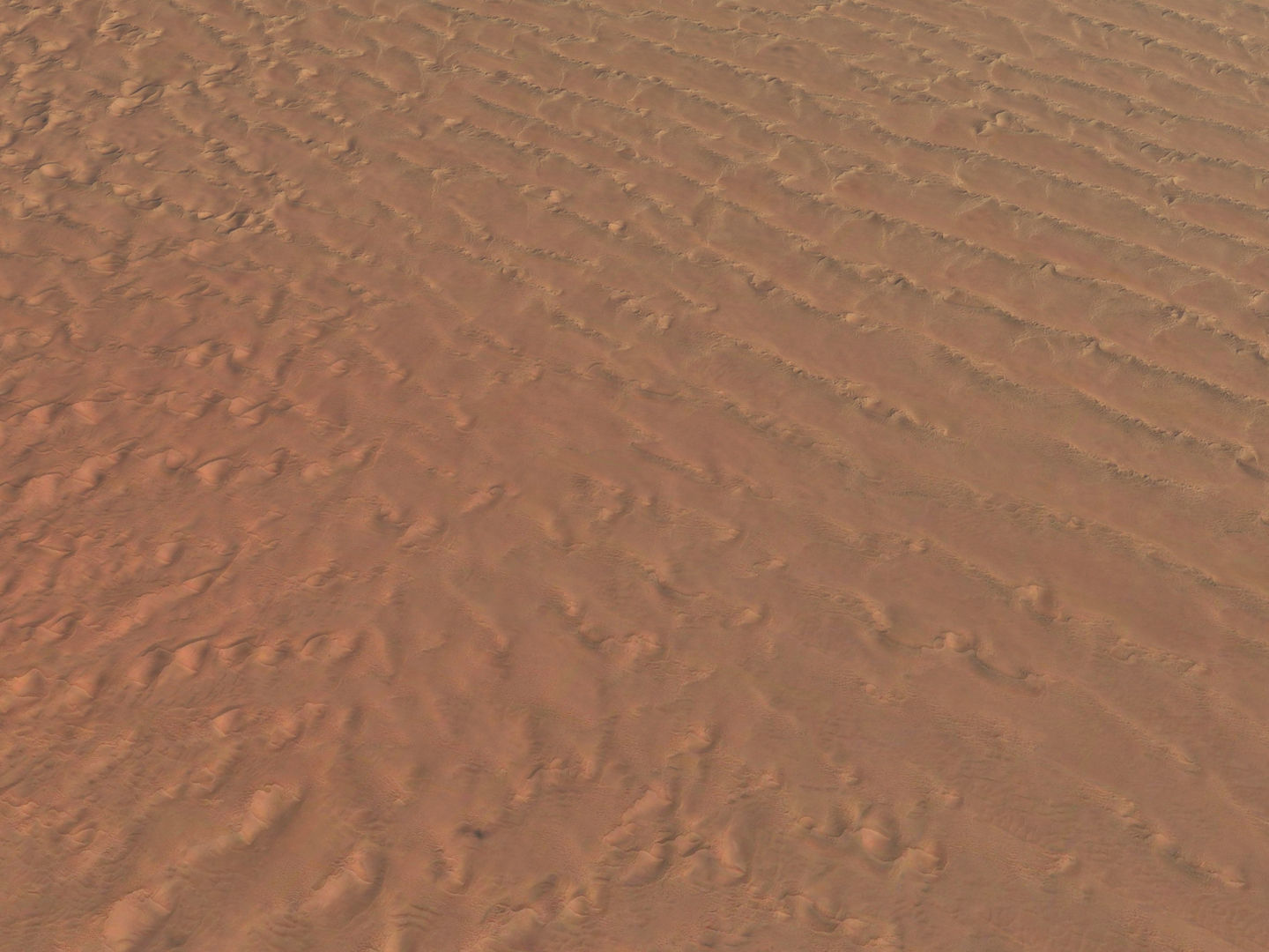 Sandy Desert Terrain 3D model_4