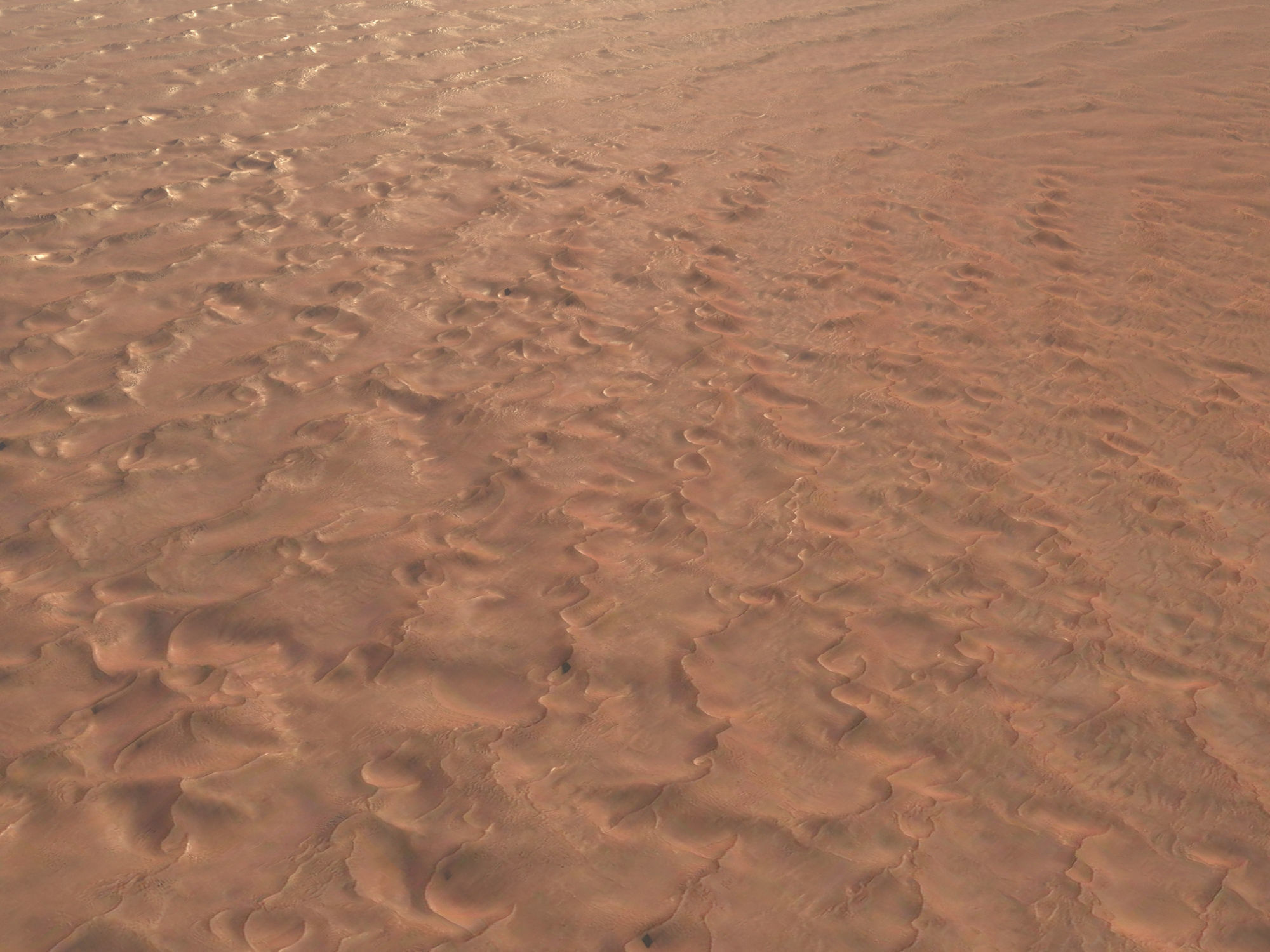 Sandy Desert Terrain 3D model_1