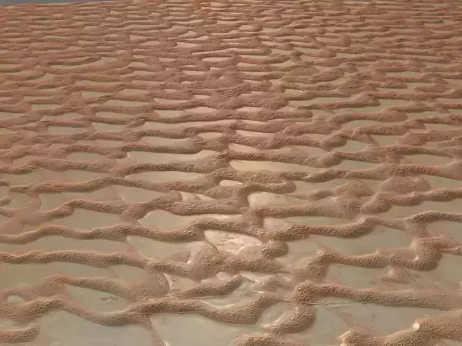 Wet Sandy Terrain 3D model