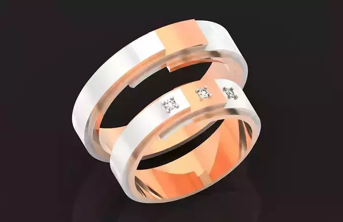  modern pair wedding rings from two metals 227 3D print model