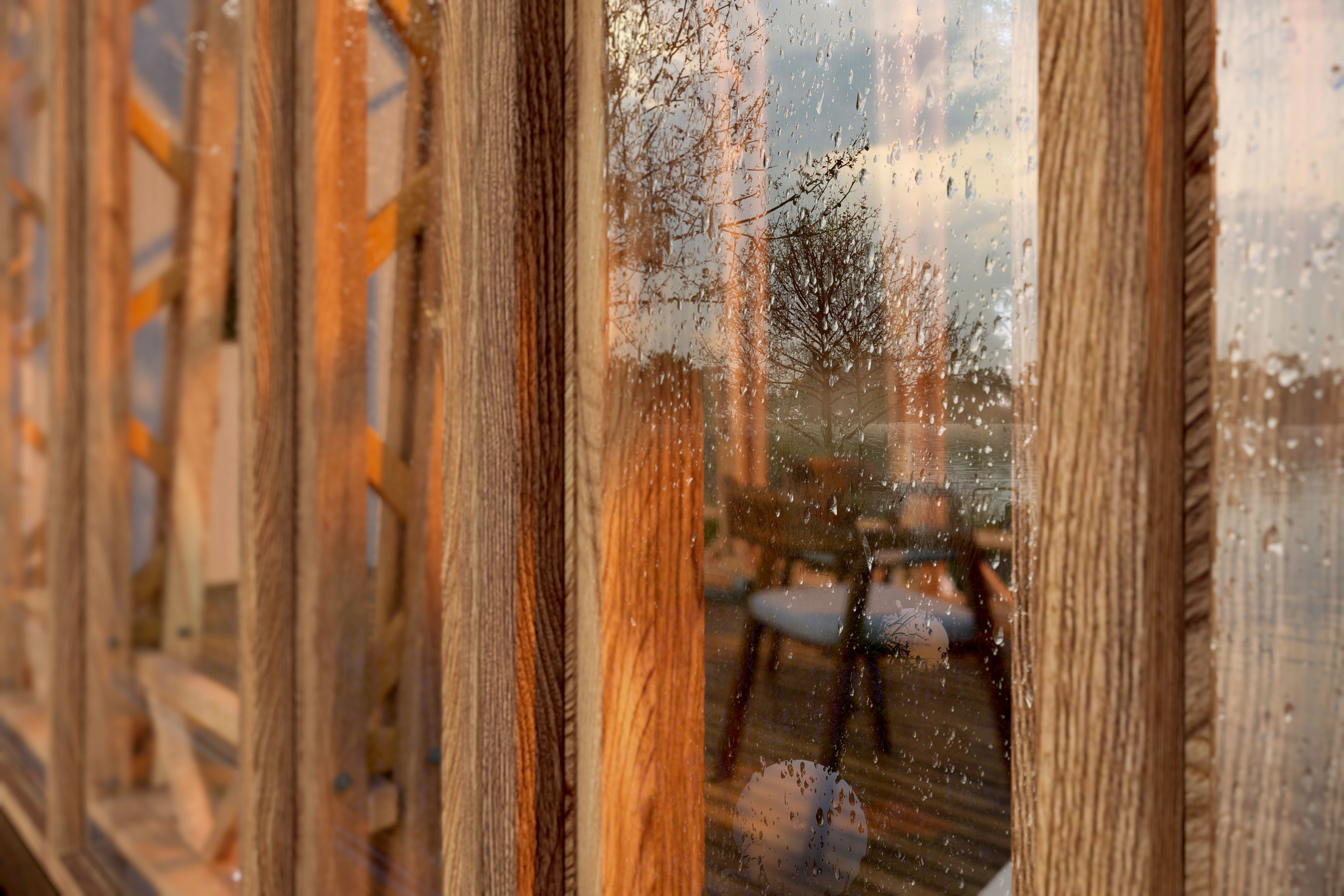 EXCLUSIVE D5 RENDER SCENE BY YOGA4ARCH 3D model 3D model_26