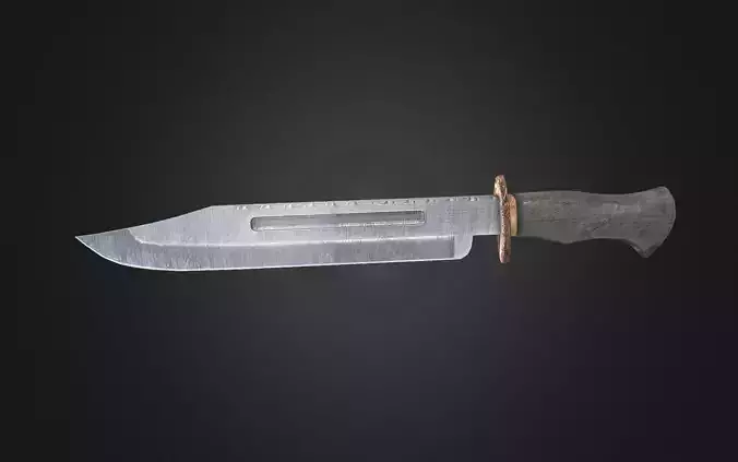 Stainless Stell Bowie Knife