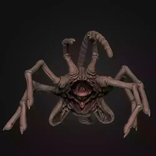 Facehugger scorpion