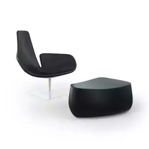 Black Plastic Armchair With Footrest