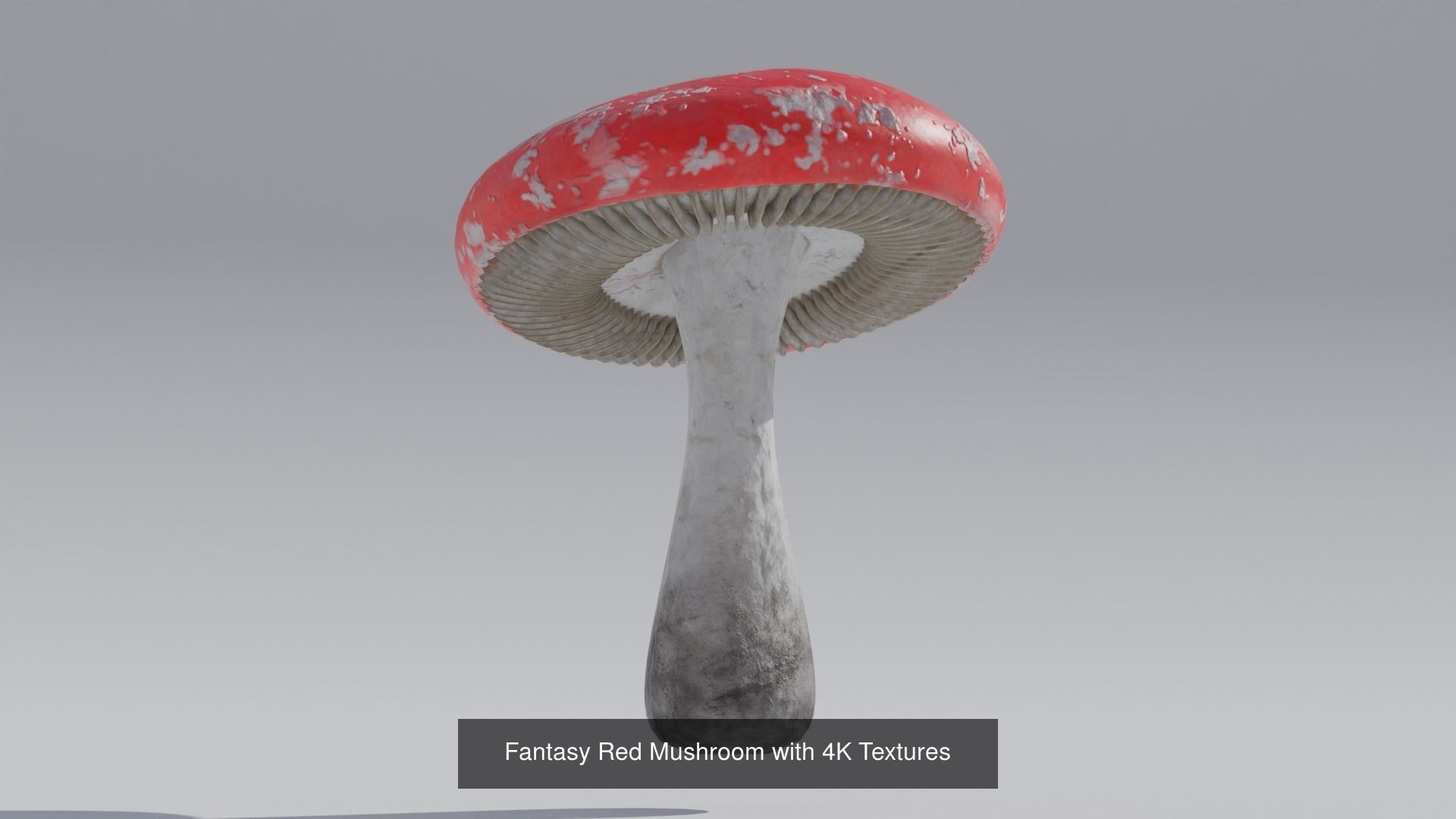 Halloween Essential props 3D Model Collection_1