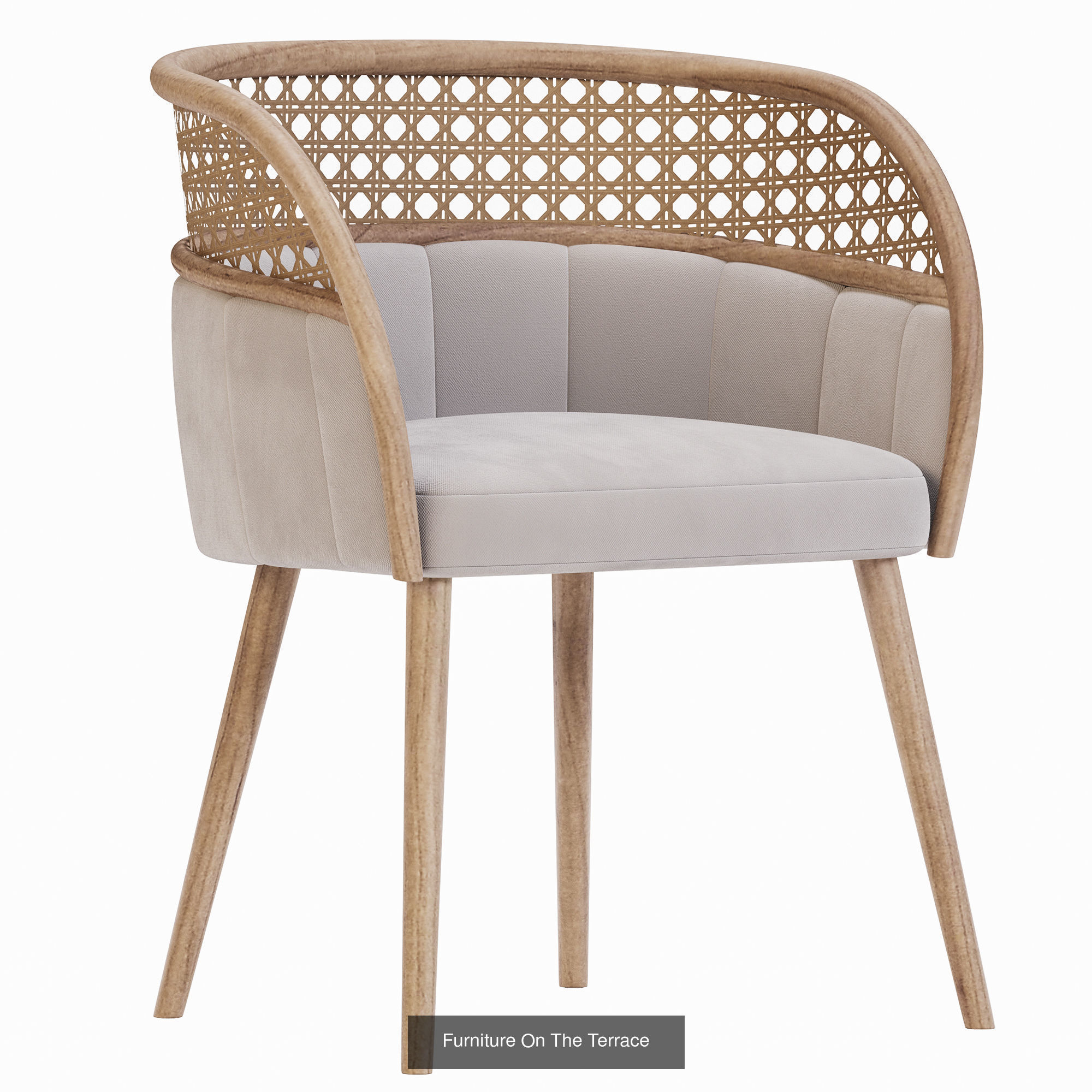 collection rattan dining chair with fabric and wooden legs _3