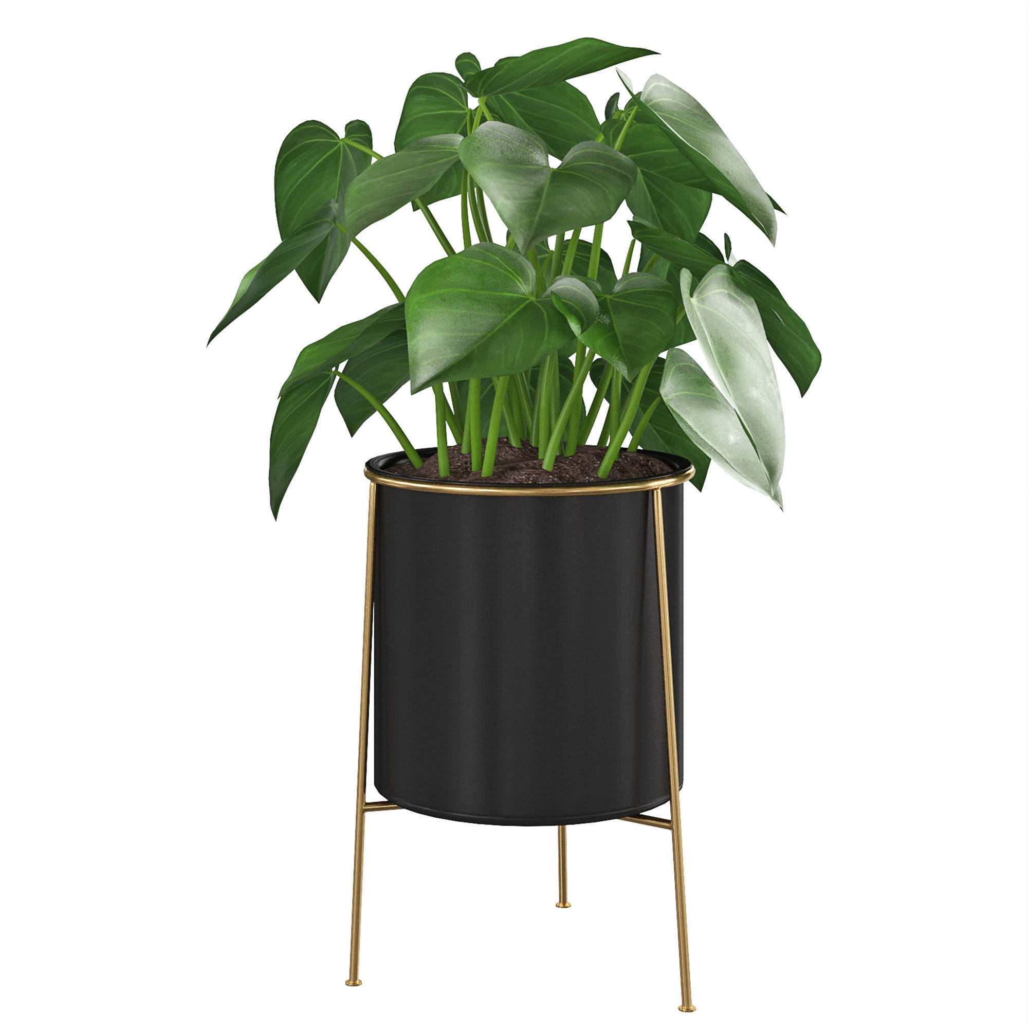 Houseplant 81 3D model_5
