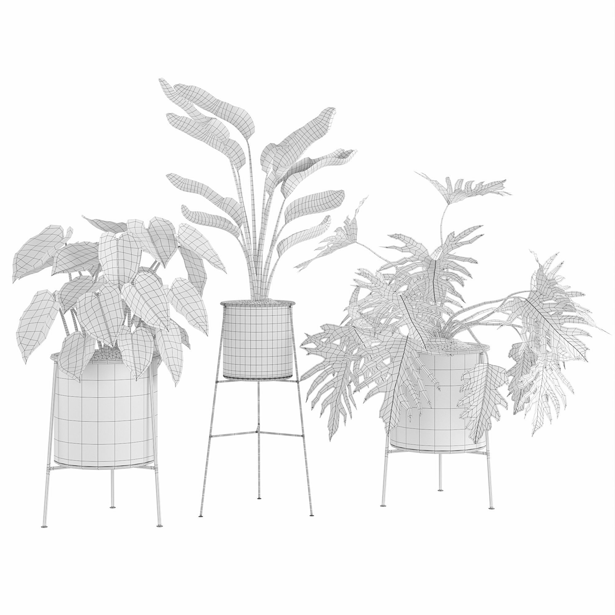 Houseplant 81 3D model_1