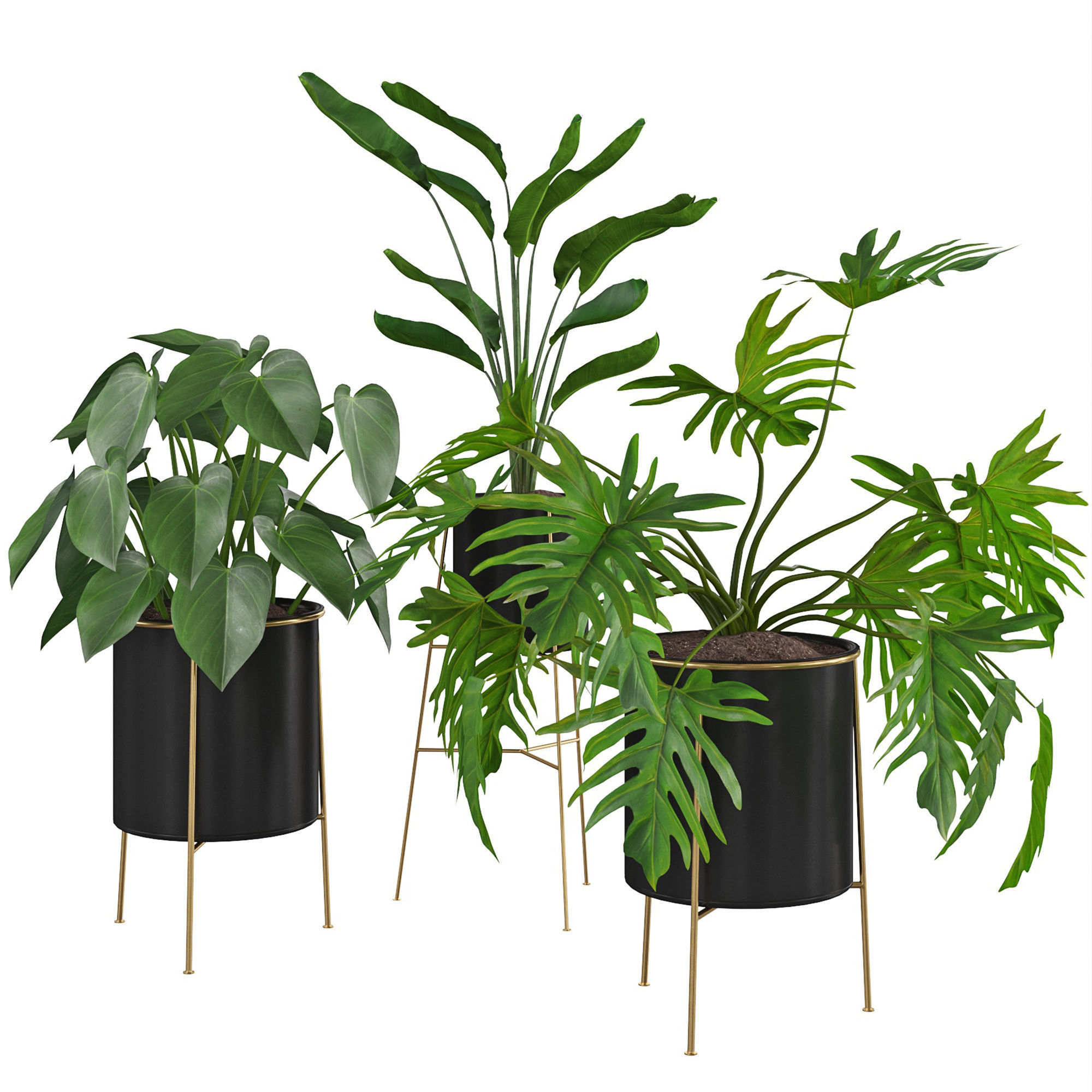 Houseplant 81 3D model_4