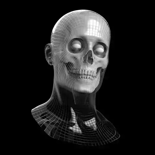 Male Head Base Mesh