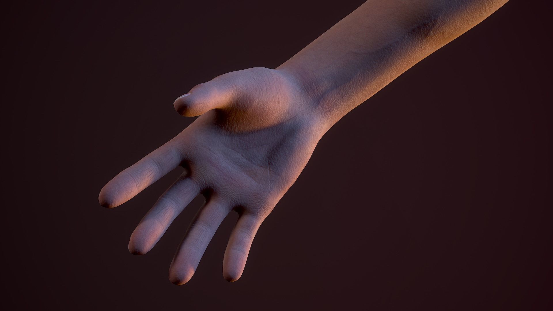 FPS First Person Arms - 03 Low-poly 3D model_12