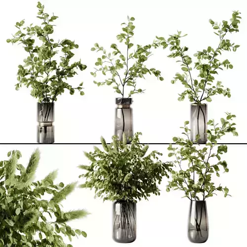 Plant 3 eucalyptus in vase