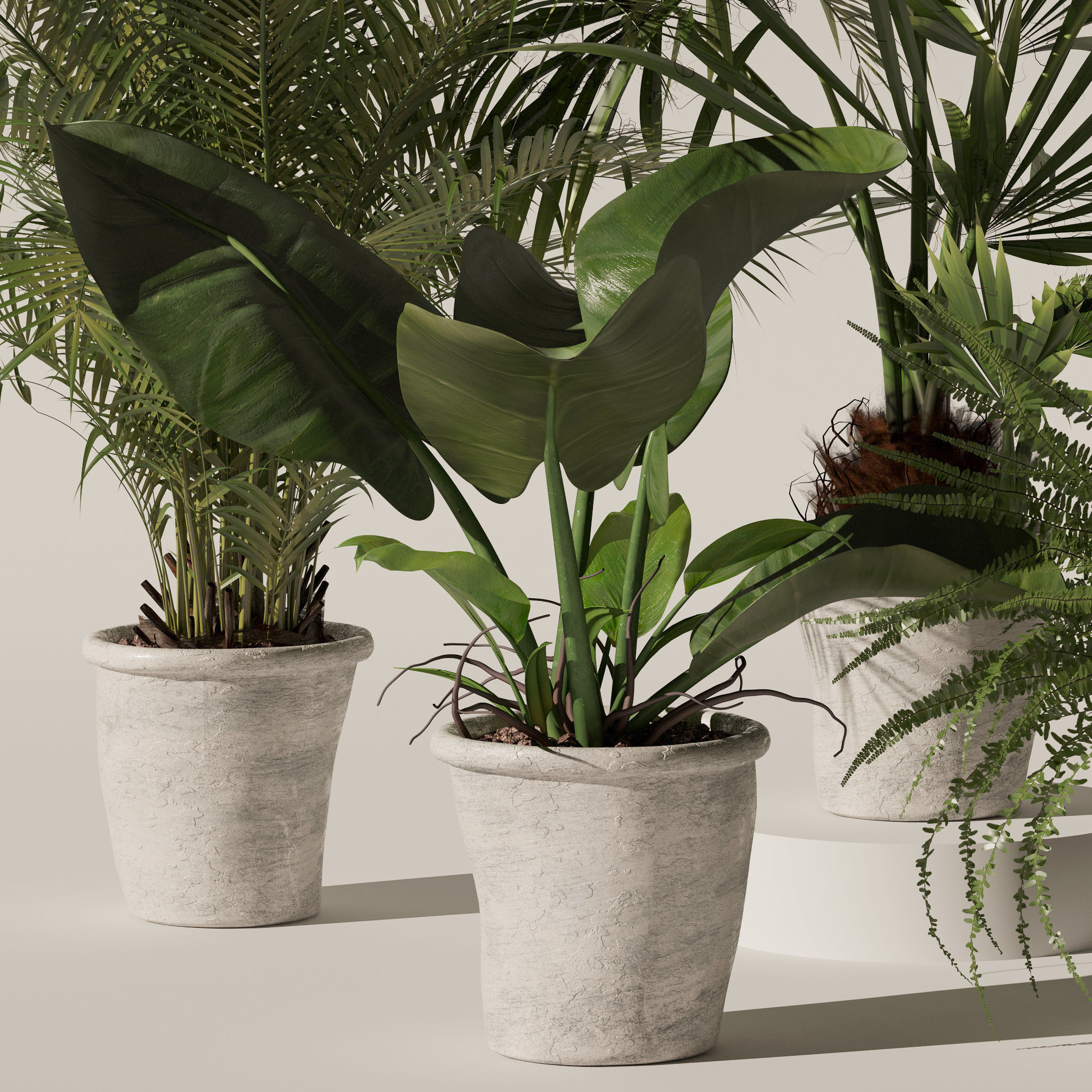 Plants collection 139 3D model_2