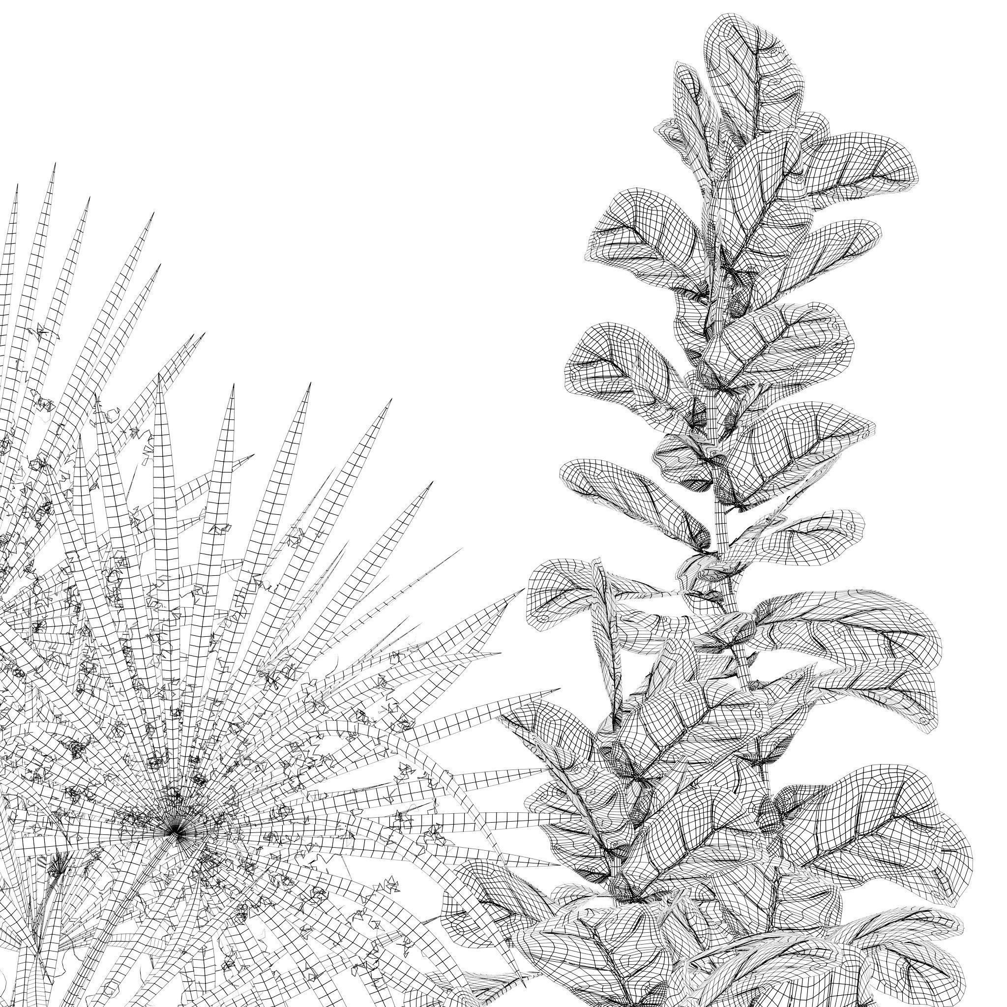 Plants collection 139 3D model_15