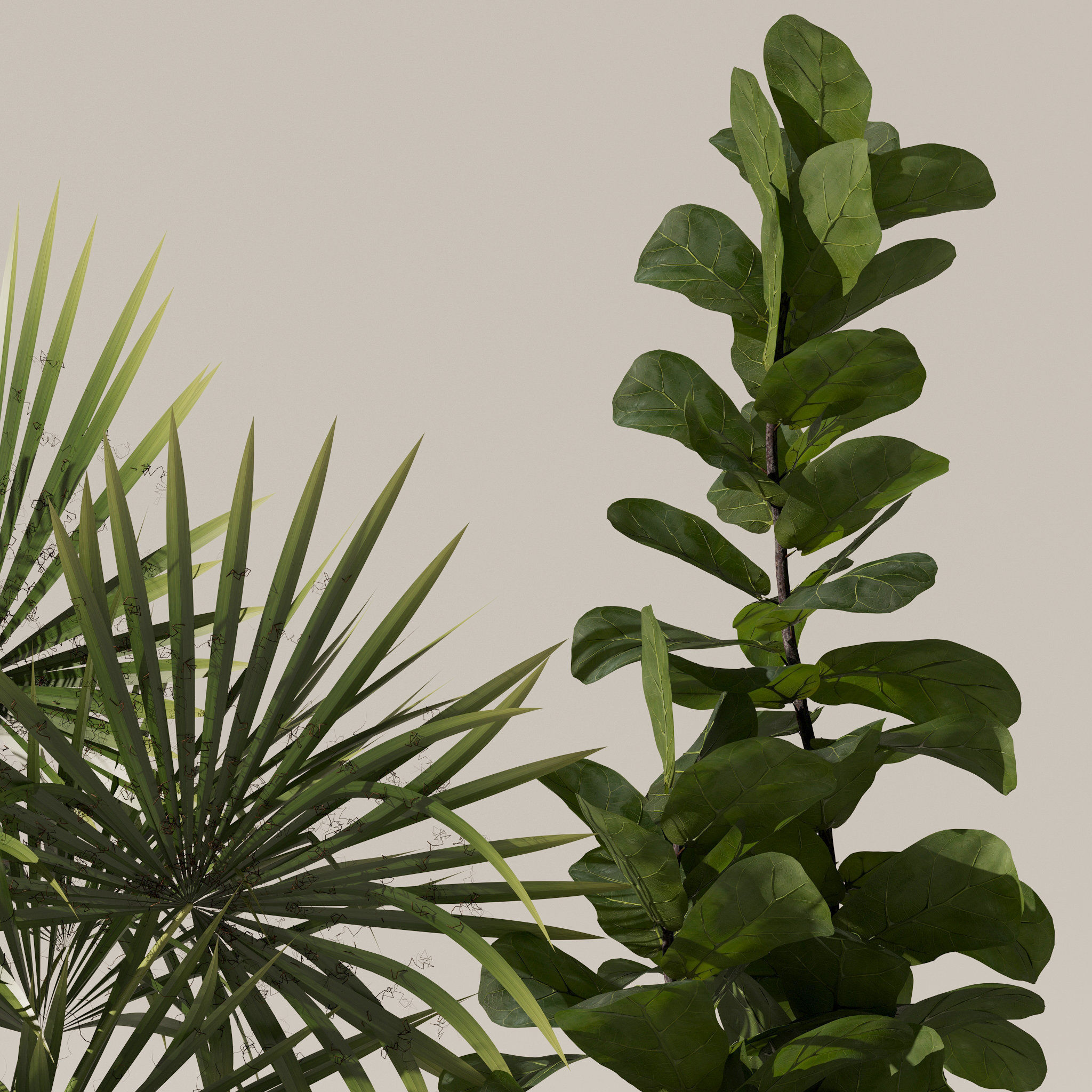 Plants collection 139 3D model_5