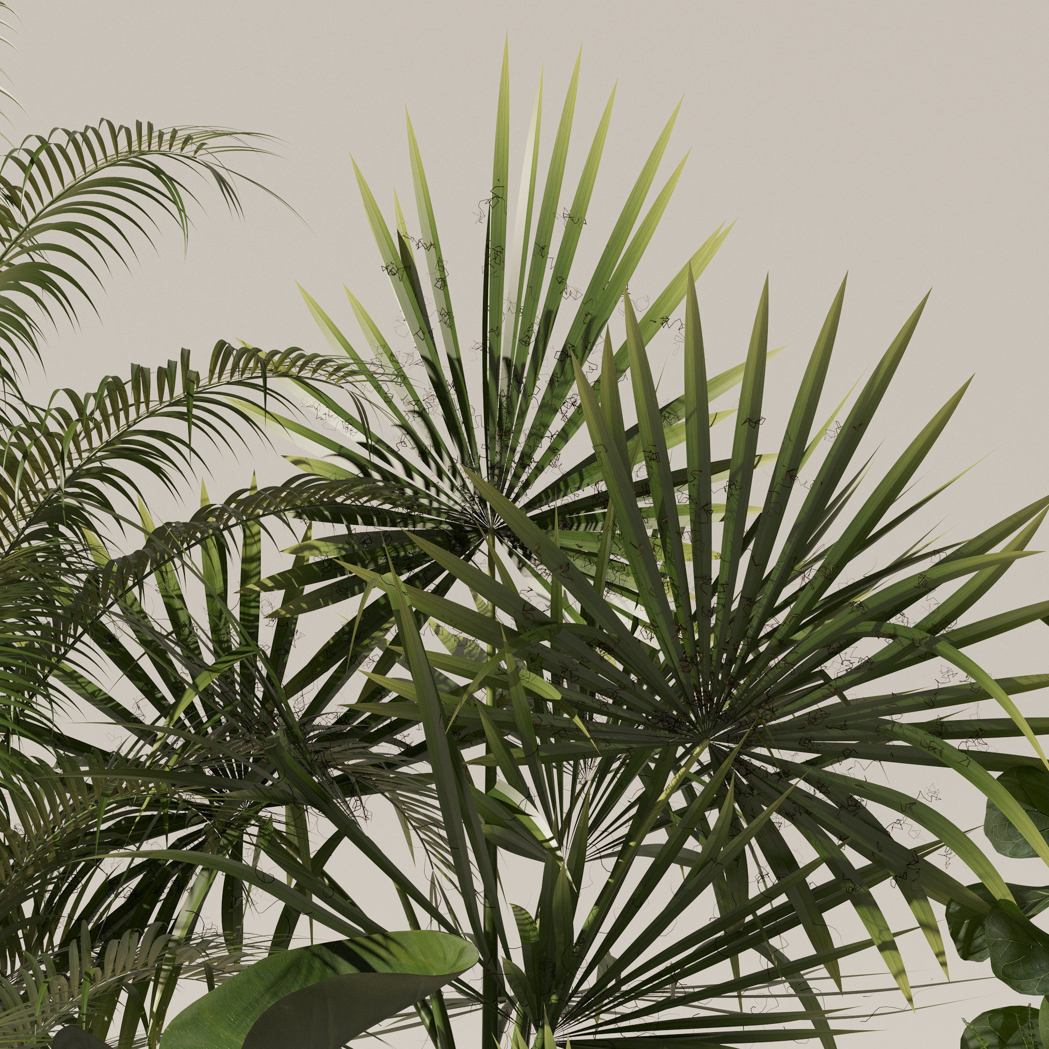 Plants collection 139 3D model_4