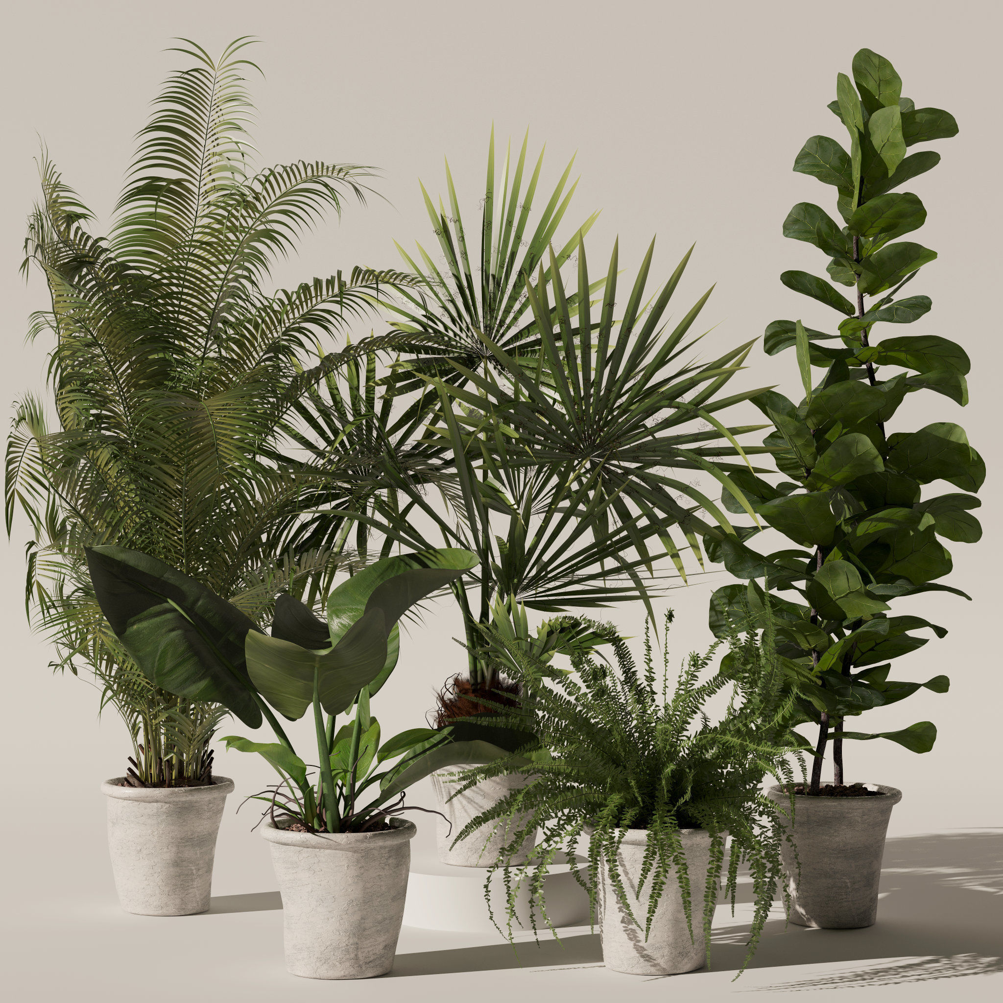 Plants collection 139 3D model_1