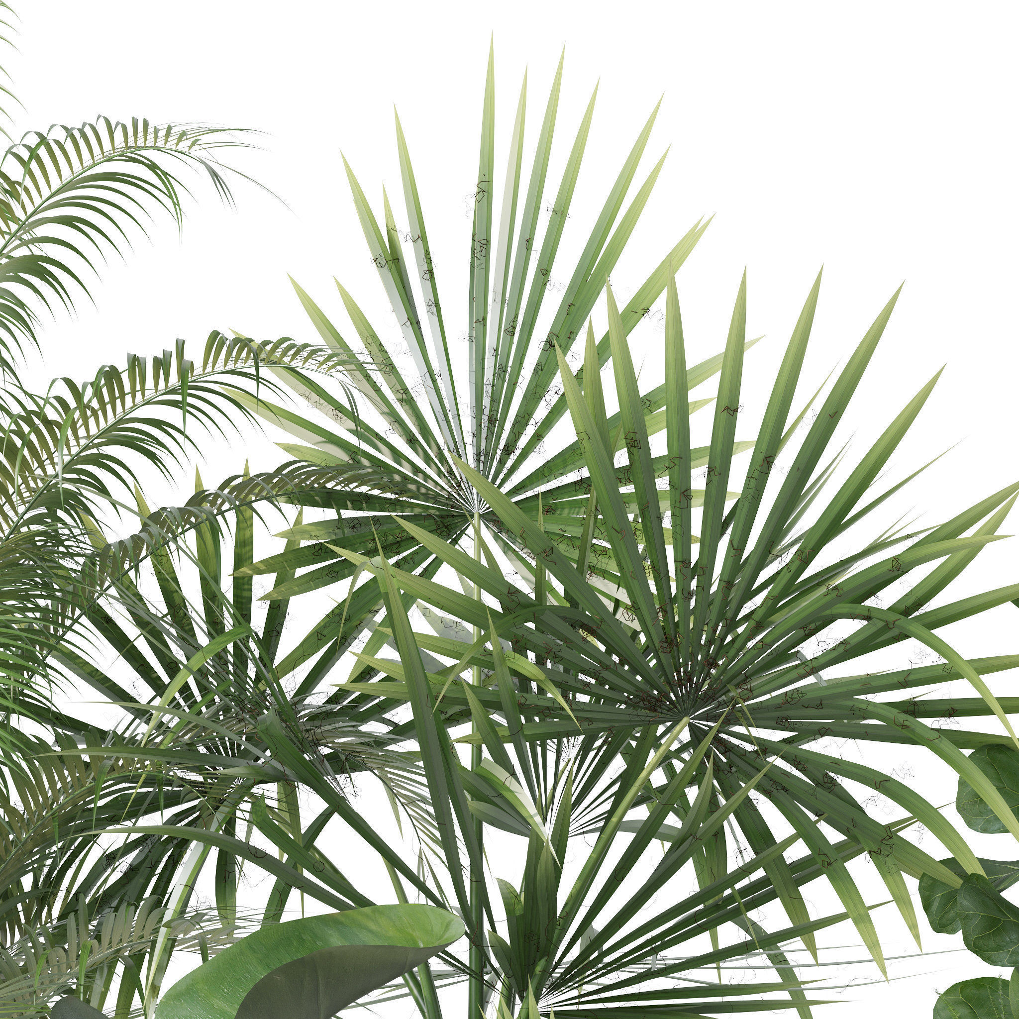 Plants collection 139 3D model_9