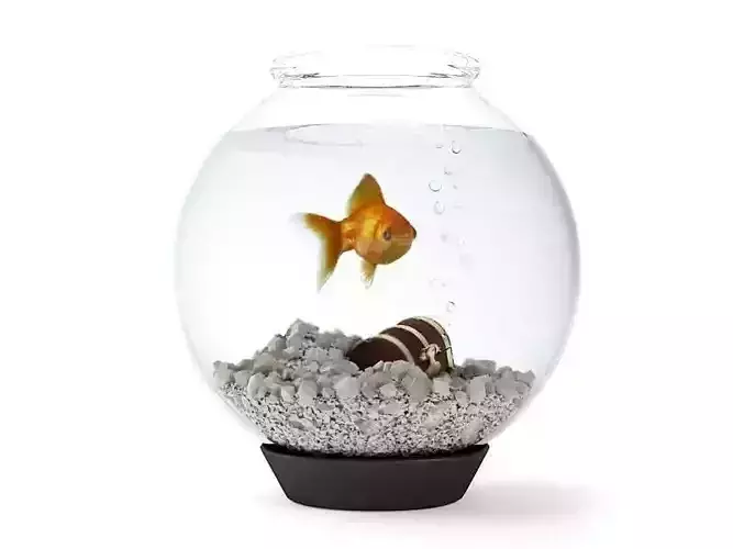 Round Glass Fishtank On Black Base 3D model